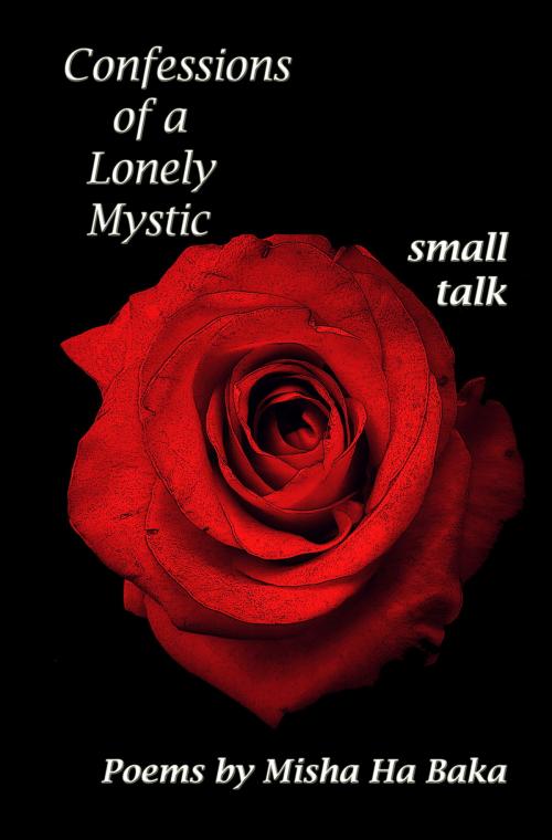 Cover of the book Confessions of a Lonely Mystic small talk by Misha Ha Baka, Misha Ha Baka