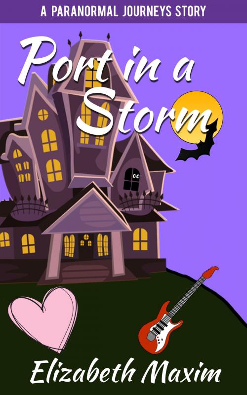 Cover of the book Port in a Storm by Elizabeth Maxim, Elizabeth Maxim