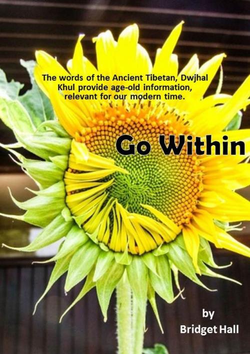 Cover of the book Go Within by Bridget Hall, Bridget Hall