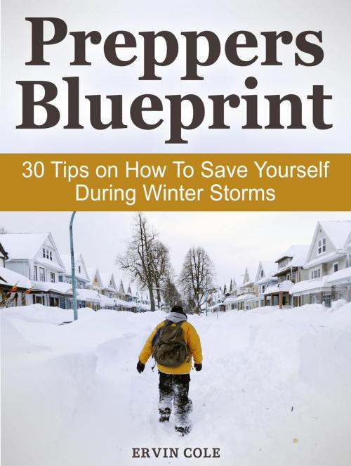 Cover of the book Preppers Blueprint: 30 Tips on How To Save Yourself During Winter Storms by Ervin Cole, Cloud 42 Solutions