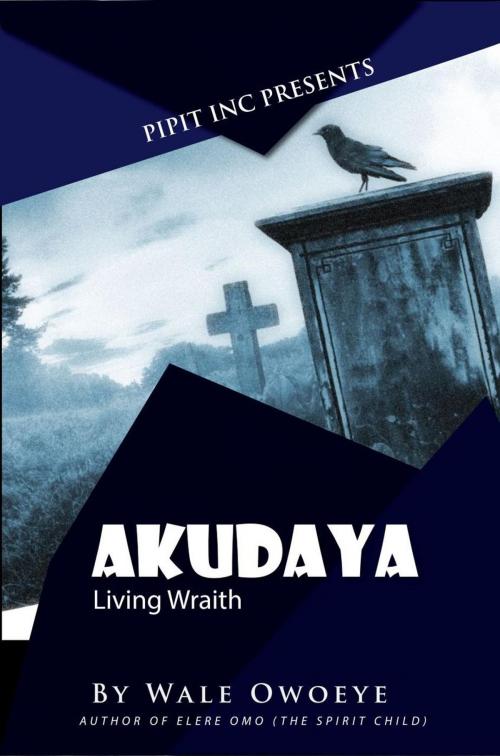 Cover of the book Akudaya: Living Wraith by Wale Owoeye, Pipit Inc.