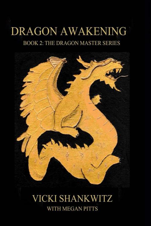 Cover of the book Dragon Awakening by Vicki Shankwitz, Megan Pitts, Vicki Shankwitz