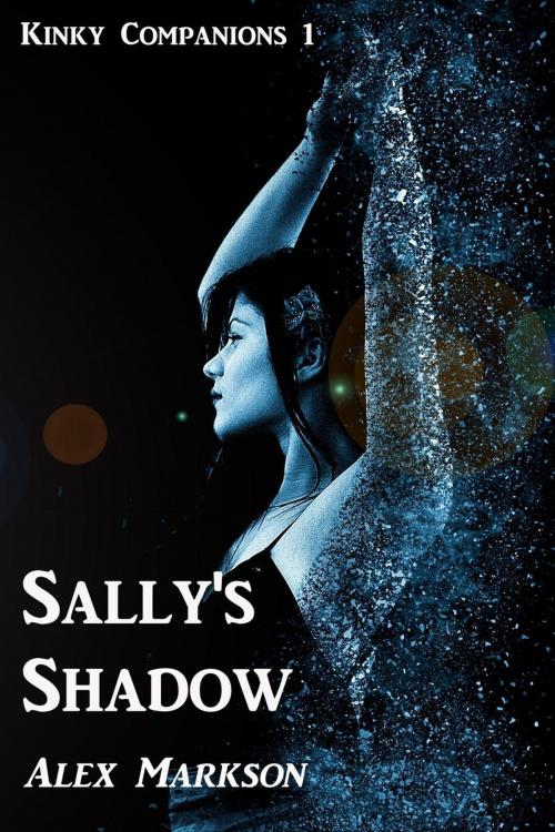 Cover of the book Sally's Shadow by Alex Markson, Parignon Press