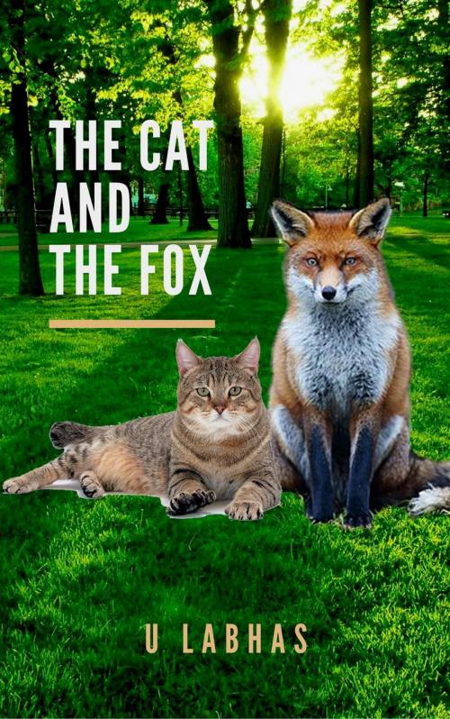 Cover of the book THE CAT AND THE FOX by labhasamana atsawabanyatkul, WIN ERIN YU