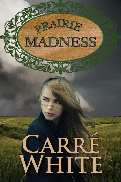 Cover of the book Prairie Madness by Carré White, Love Lust Story