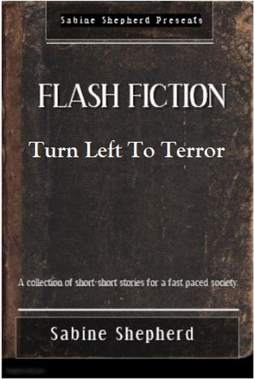 Cover of the book Turn Left to Terror-Flash Fiction by Sabine Shepherd, Sabine Shepherd