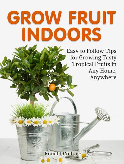 Cover of the book Grow Fruit Indoors: Easy to Follow Tips for Growing Tasty Tropical Fruits in Any Home, Anywhere by Ronald Collins, Cloud 42 Solutions