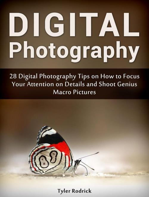 Cover of the book Digital Photography: 28 Digital Photography Tips on How to Focus Your Attention on Details and Shoot Genius Macro Pictures by Tyler Rodrick, Cloud 42 Solutions