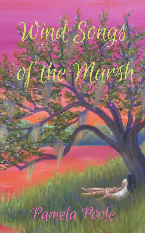 Cover of the book The Wind Songs of the Marsh by Pamela Poole, Southern Sky Publishing
