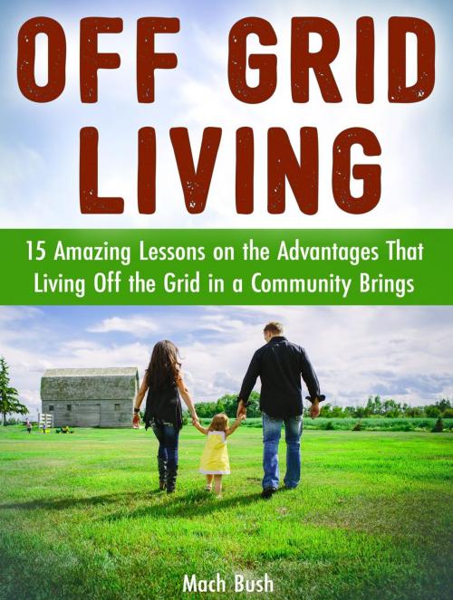 Cover of the book Off Grid Living: 15 Amazing Lessons on the Advantages That Living Off the Grid in a Community Brings by Mach Bush, Cloud 42 Solutions