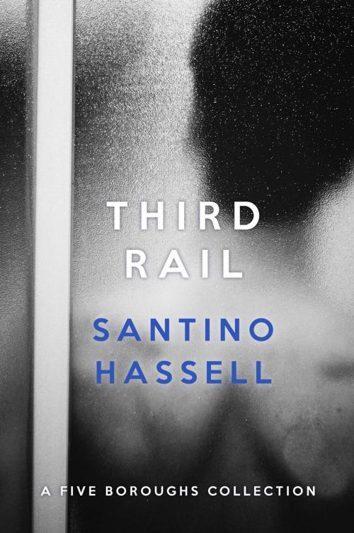 Cover of the book Third Rail by Santino Hassell, Santino Hassell