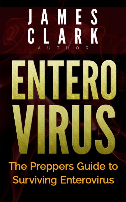 Cover of the book Enterovirus: The Preppers Guide to Surviving Enterovirus by James Clark, Jet Solutions