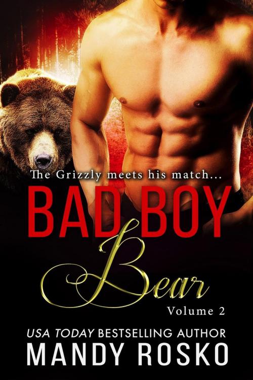 Cover of the book Bad Boy Bear Volume 2 by Mandy Rosko, Mandy Rosko
