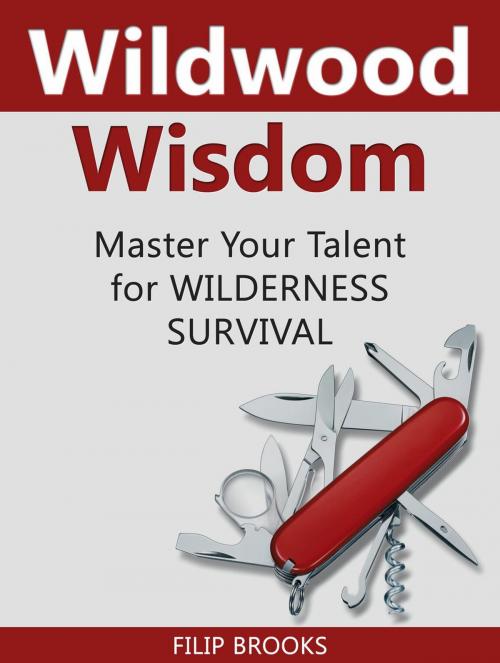 Cover of the book Wildwood Wisdom: Master Your Talent for Wilderness Survival by Filip Brooks, Jet Solutions