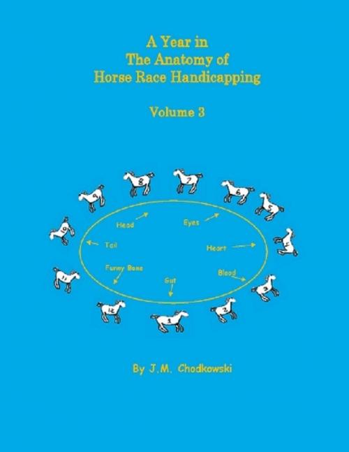 Cover of the book A Year In the Anatomy of Horse Race Handicapping: Volume 3 by J.M. Chodkowski, Lulu.com