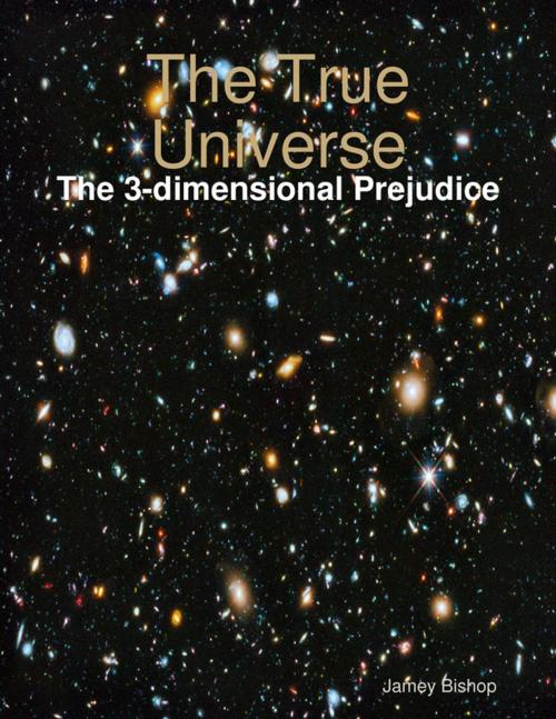 Cover of the book The True Universe - The 3-dimensional Prejudice by Jamey Bishop, Lulu.com