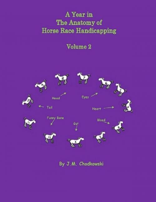 Cover of the book A Year In the Anatomy of Horse Race Handicapping: Volume 2 by J.M. Chodkowski, Lulu.com