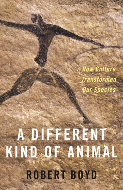 Cover of the book A Different Kind of Animal by Robert Boyd, Princeton University Press