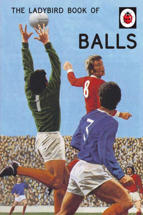 Cover of the book The Ladybird Book of Balls by Jason Hazeley, Joel Morris, Penguin Books Ltd