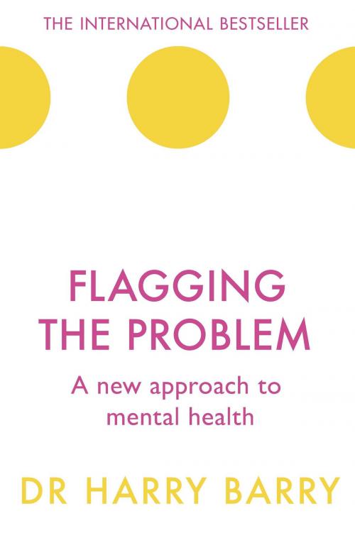 Cover of the book Flagging the Problem by Harry Barry, Orion Publishing Group