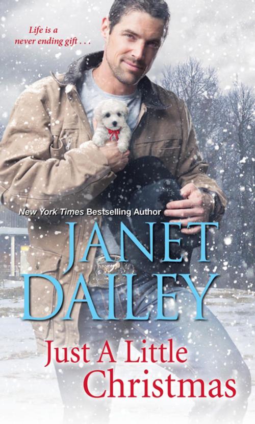 Cover of the book Just a Little Christmas by Janet Dailey, Zebra Books