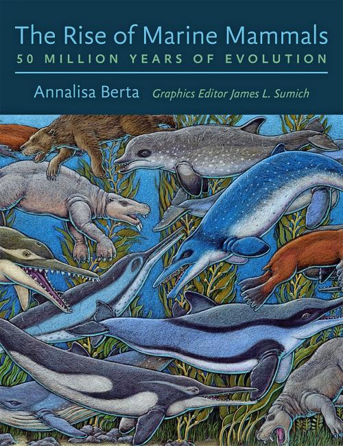 Cover of the book The Rise of Marine Mammals by Annalisa Berta, Johns Hopkins University Press