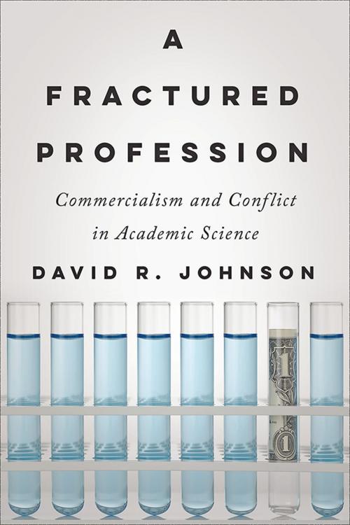 Cover of the book A Fractured Profession by David R. Johnson, Johns Hopkins University Press