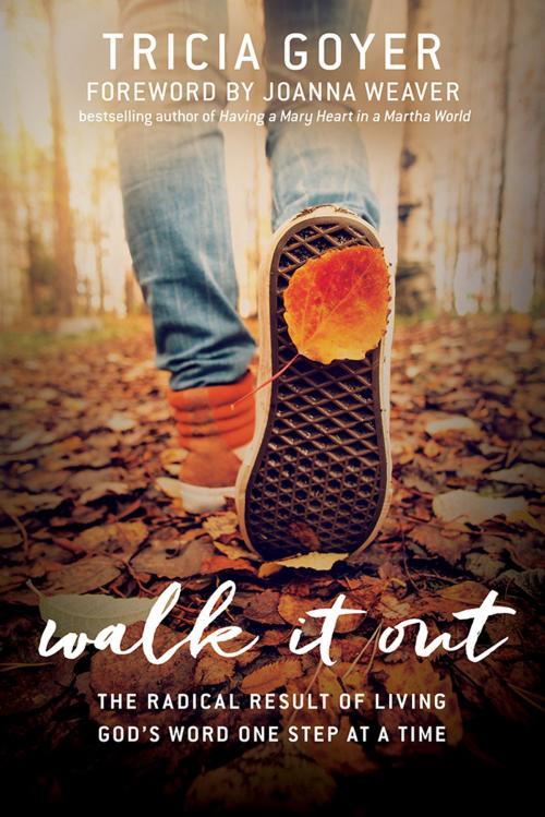 Cover of the book Walk It Out by Tricia Goyer, David C Cook