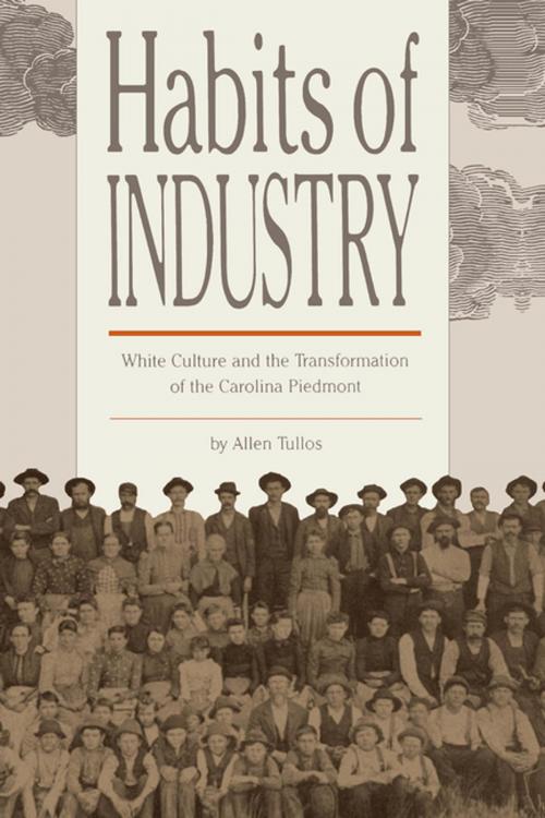 Cover of the book Habits of Industry by Allen Tullos, The University of North Carolina Press