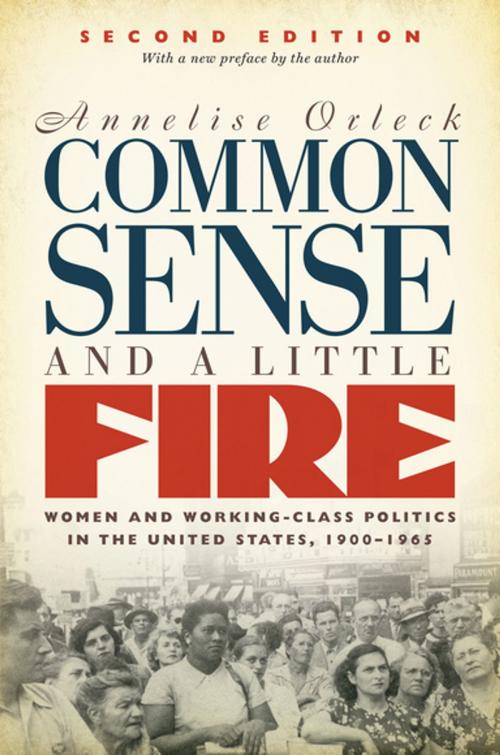 Cover of the book Common Sense and a Little Fire, Second Edition by Annelise Orleck, The University of North Carolina Press