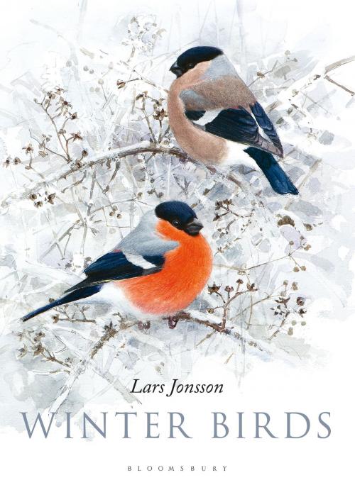 Cover of the book Winter Birds by Lars Jonsson, Bloomsbury Publishing