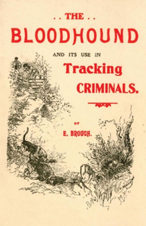 Cover of the book The Bloodhound and its use in Tracking Criminals by E. Brough, Read Books Ltd.