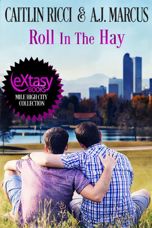 Cover of the book Roll In The Hay by Caitlin Ricci, A.J. Marcus, eXtasy Books Inc