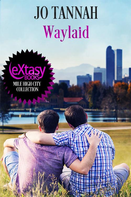 Cover of the book Waylaid by Jo Tannah, eXtasy Books Inc