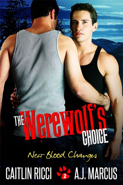 Cover of the book The Werewolf’s Choice by A.J. Marcus, Caitlin Ricci, eXtasy Books Inc