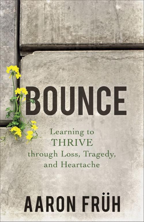 Cover of the book Bounce by Aaron Früh, Baker Publishing Group