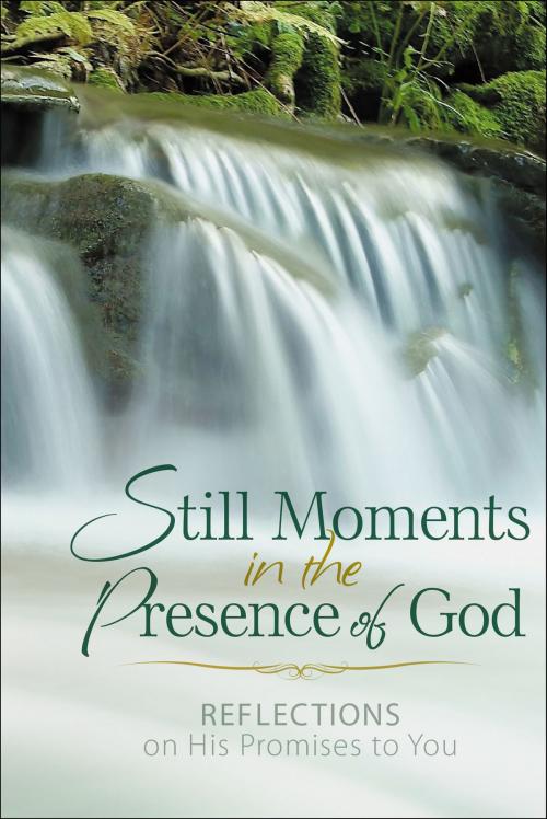 Cover of the book Still Moments in the Presence of God by Baker Publishing Group, Baker Publishing Group