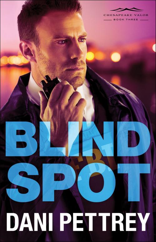 Cover of the book Blind Spot (Chesapeake Valor Book #3) by Dani Pettrey, Baker Publishing Group
