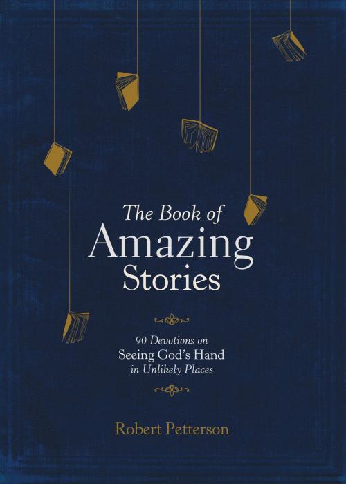 Cover of the book The Book of Amazing Stories by Robert Petterson, Tyndale House Publishers, Inc.
