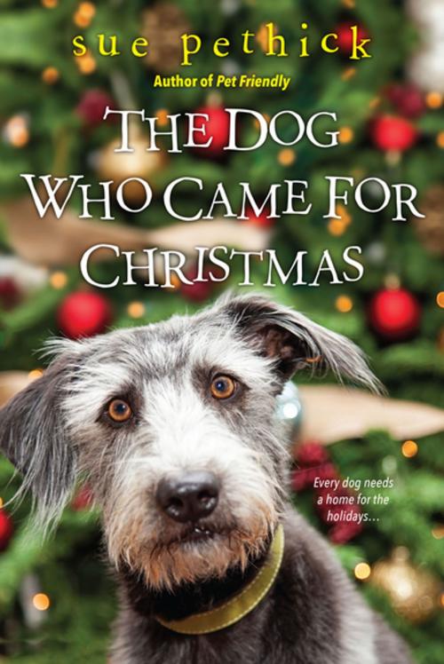 Cover of the book The Dog Who Came for Christmas by Sue Pethick, Kensington Books