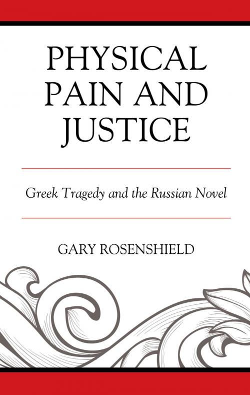 Cover of the book Physical Pain and Justice by Gary Rosenshield, Lexington Books