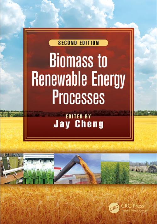 Cover of the book Biomass to Renewable Energy Processes by , CRC Press