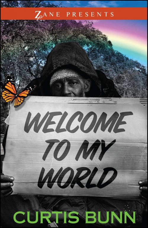 Cover of the book Welcome to My World by Curtis Bunn, Strebor Books