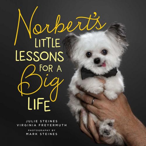 Cover of the book Norbert's Little Lessons for a Big Life by Julie Steines, Virginia Freyermuth, Gallery Books