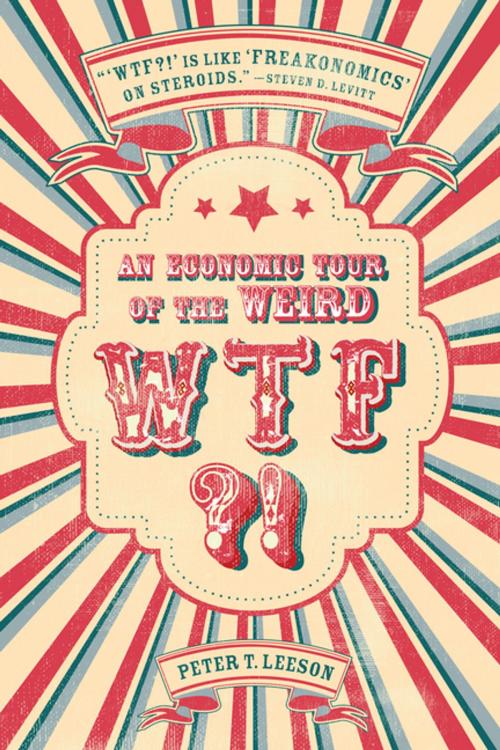Cover of the book WTF?! by Peter T. Leeson, Stanford University Press