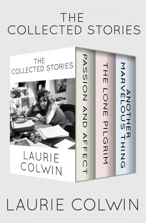 Cover of the book The Collected Stories by Laurie Colwin, Open Road Media