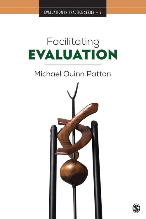 Cover of the book Facilitating Evaluation by Dr. Michael Quinn Patton, SAGE Publications