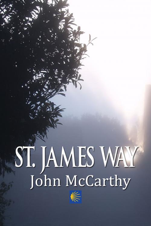Cover of the book St. James Way by John McCarthy, First Edition Design Publishing