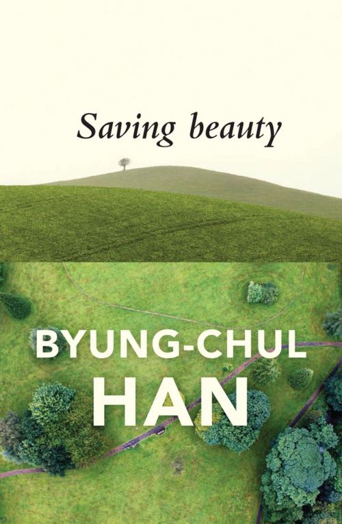 Cover of the book Saving Beauty by Byung-Chul Han, Wiley