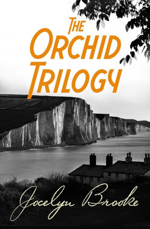 Cover of the book The Orchid Trilogy by Jocelyn Brooke, Pan Macmillan